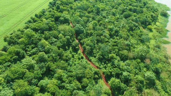 Itaipu conmemora Día de las Áreas Silvestres Protegidas con acciones de conservación - ADN Digital