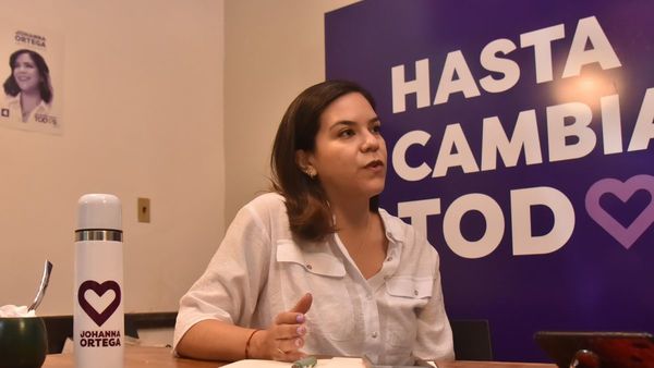 “Nenecho no tiene la más pálida idea de hacia dónde quiere conducir Asunción”