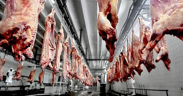 La Nación / Mayor demanda externa ayudará a que baje el precio de la carne