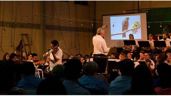 Orquestas sinfónicas ofrecen conciertos con acceso gratuito