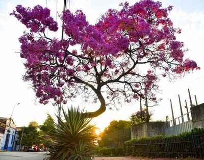 Temperaturas agradables seguirán este martes  - Nacionales - ABC Color