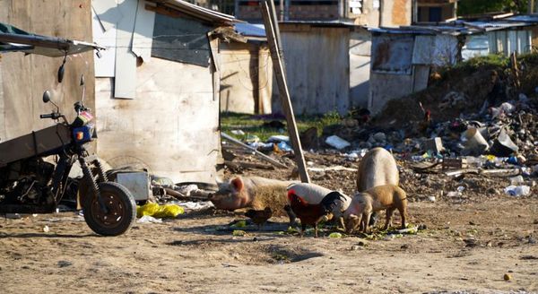 Pandemia y pobreza: ¿Cómo impacta la actual inflación en el poder adquisitivo de las familias paraguayas? - MarketData