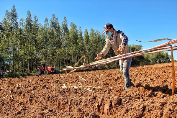 BNF cuenta con préstamos dirigidos al sector agropecuario afectados por sequías e incendios - .::Agencia IP::.