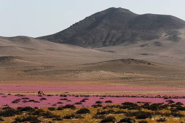 No hay debate. El cambio climático es resultado de la acción humana - Ciencia - ABC Color