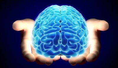 El "navegador" del cerebro y la ruta más corta - El Independiente