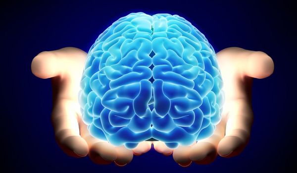 El "navegador" del cerebro y la ruta más corta - El Independiente