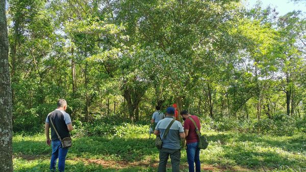 Feminicidio: Asesino cumplió su amenaza