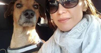 La Nación / Instagram desbloqueó la cuenta del perro de  Pabla Thomen