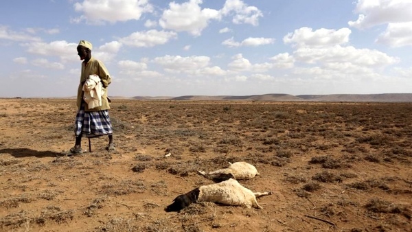 El cambio climático amenaza la supervivencia de millones de africanos - .::Agencia IP::.