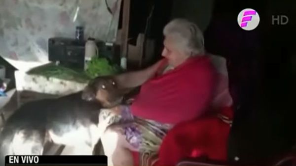 Vaicho, el perrito que cuidó a la doña que le daba de comer