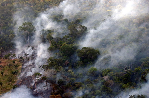 Neutralizar gases de carbono no es prioridad de Latinoamérica por sus bajas emisiones - MarketData
