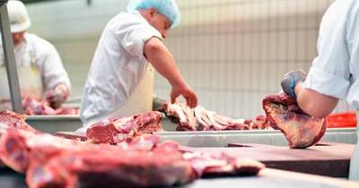 La Nación / Viceministro de Comercio señala que el precio de la carne debería bajar