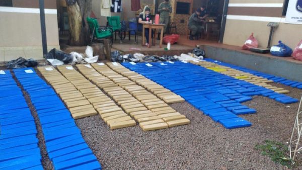 Incautan 468 kilos de marihuana prensada en Colonia Santa Clara