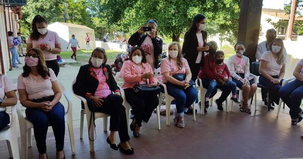 La Nación / Octubre rosa en Concepción: preparan campaña “Cabellos Solidarios” para hacer pelucas