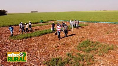ABC Rural: Jornada de campo y desecación de malezas con Pixaro - ABC Rural - ABC Color