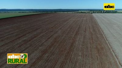 ABC Rural: Fertilización de base mejorando la biología del suelo - ABC Rural - ABC Color