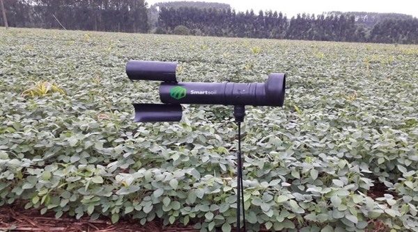 Buscan implementar sistema automatizado de alerta temprana para enfermedades en cultivos de soja