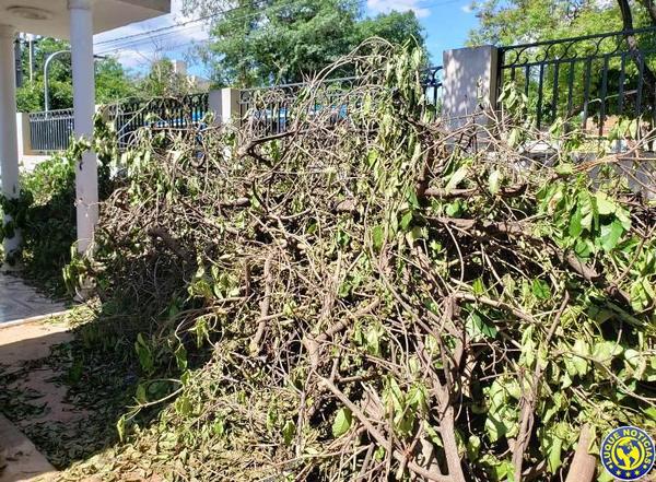 Abandono en inseguridad en el cementerio de Luque •