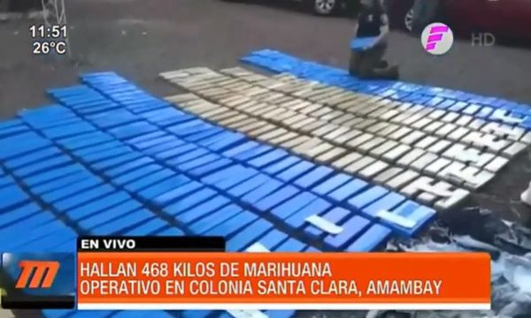 Hallan 468 kilos de marihuana en Amambay | Telefuturo