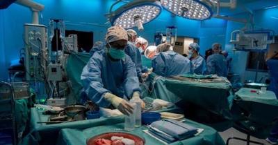 Nueva York: Trasplantaron un riñón de cerdo a un cuerpo humano y funcionó