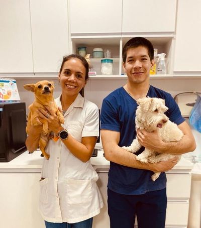 Alergias en perros y gatos es una enfermedad no curable - Mascotas - ABC Color