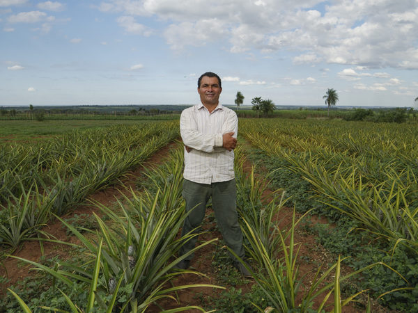 Nace ARA, iniciativa para valorizar la agricultura familiar paraguaya