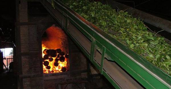 La Nación / Lanzarán herramienta de cálculo sobre consumo energético para mipymes que utilizan biomasa