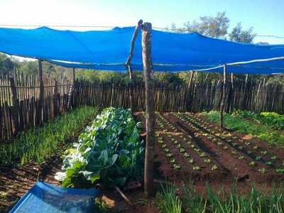 Fundación Continental apoyó concursos de huertas familiares y comunitarias - Megacadena — Últimas Noticias de Paraguay