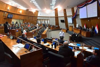 Diputados ratifican “subsidio de frontera” para trabajadores y comerciantes que cobraron Pytyvõ 2.0  - Nacionales - ABC Color