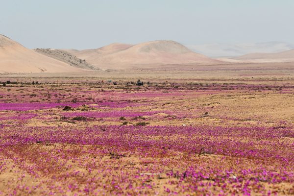 Chile, el mejor destino de turismo de aventura de Suramérica por séptimo año - MarketData