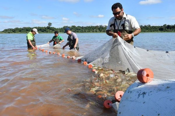Veda pesquera regirá desde noviembre