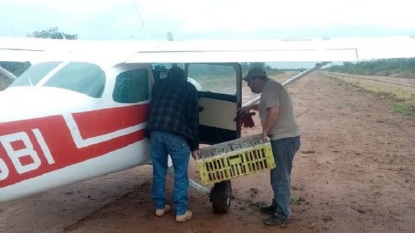 Ladrones de avioneta utilizaron estancia del ministro Brunetti para reabastecerse | Noticias Paraguay