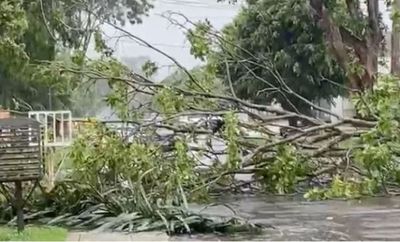 Decretan estado de emergencia en Ponta Porã