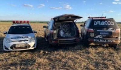 Unos 246 kilos de cocaína fueron encontrados alrededor del helicóptero siniestrado