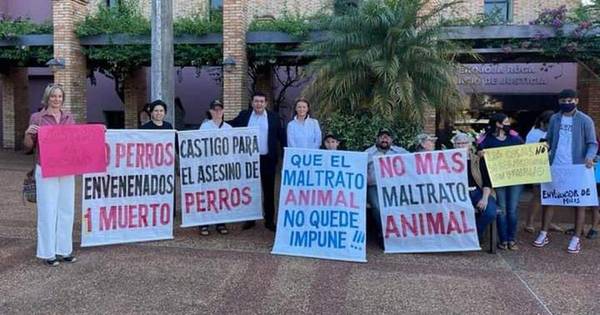 La Nación / Se inició primer juicio por caso de envenenamiento a un perro