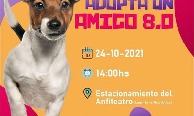 Preparan nueva edición de «Adopta un amigo»