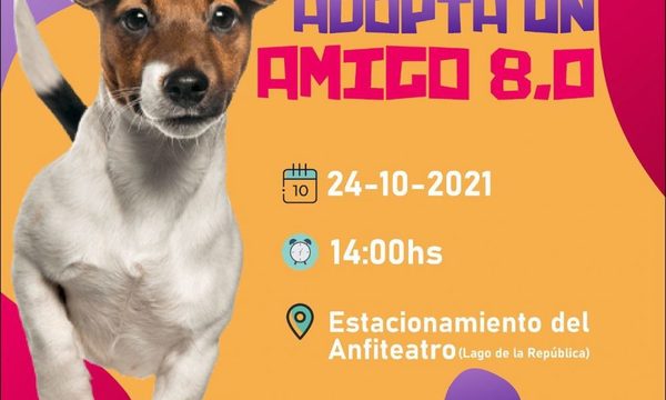 Preparan nueva edición de «Adopta un amigo»