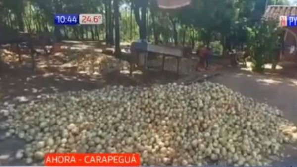 Productores dan cebollas a precio regalado para que no se pudran