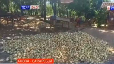 Productores dan cebollas a precio casi regalado para que no se pudran
