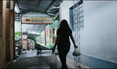 “Hotel de gatos” retrata el rescate de animales en el ex Clínicas - Cine y TV - ABC Color