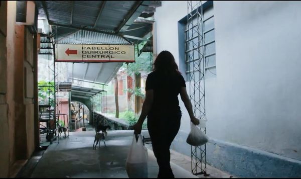 “Hotel de gatos” retrata el rescate de animales en el ex Clínicas - Cine y TV - ABC Color