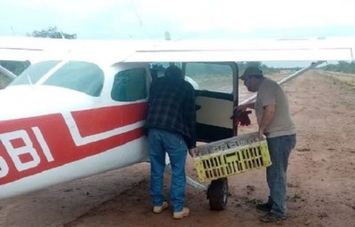 Ladrones de avioneta utilizaron estancia del ministro Brunetti para reabastecerse - Noticiero Paraguay