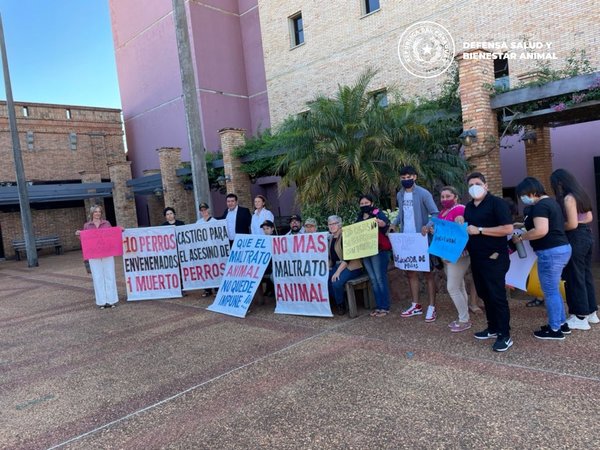 Caacupé: Fue suspendido el primer juicio oral y público por presunto maltrato animal