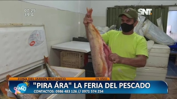 "Pira Ára" La feria del pescado - SNT