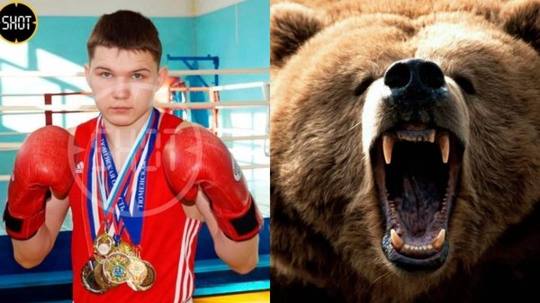 Crónica / Boxeador se defendió de un oso con solo ¡un cuchillo!