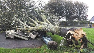 Tormenta deja sin electricidad a unas 250.000 viviendas en Francia