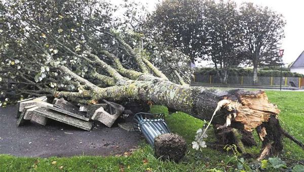 Tormenta deja sin electricidad a unas 250.000 viviendas en Francia