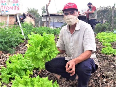 Plantean fomentar la alimentación saludable y promover el sector orgánico del país - .::Agencia IP::.