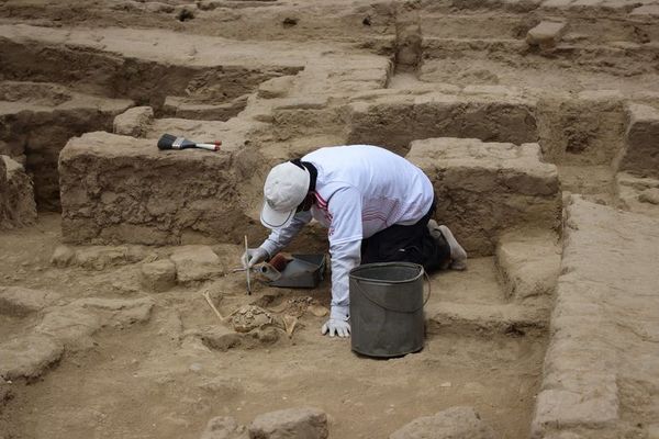 Hallan restos humanos con más de mil años de antigüedad - Ciencia - ABC Color