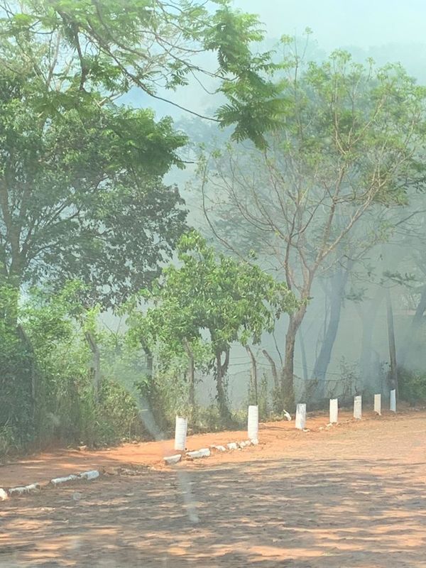 Taxistas agreden el medio ambiente en Ñemby - Nacionales - ABC Color